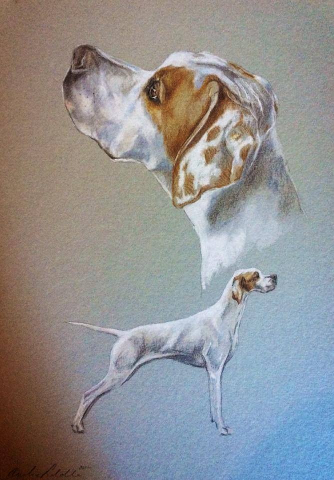 Original painting of a Gundog
